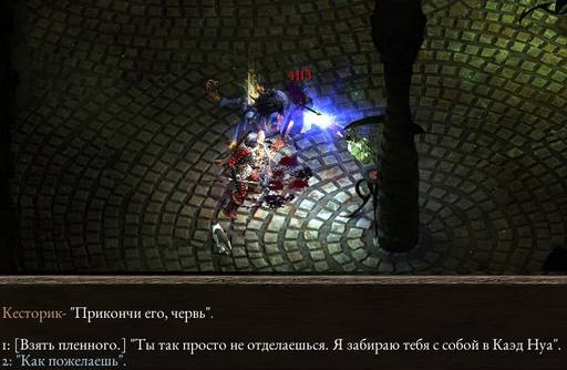 Pillars of Eternity - «Pillars of Eternity»  - впечатления нуба (часть пятая)